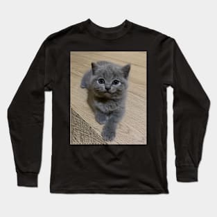 the blue cute cats Long Sleeve T-Shirt